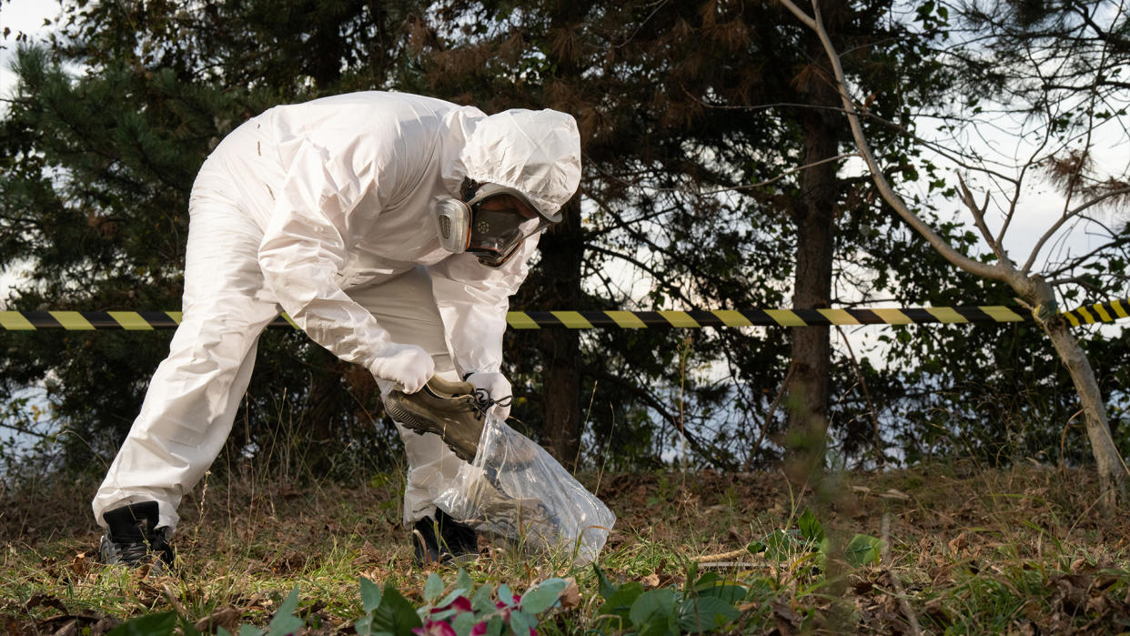  Forensic scientist in a white plastic suit collects a pair of shoes in a plastic bag in a taped off crime scene in the woods. 