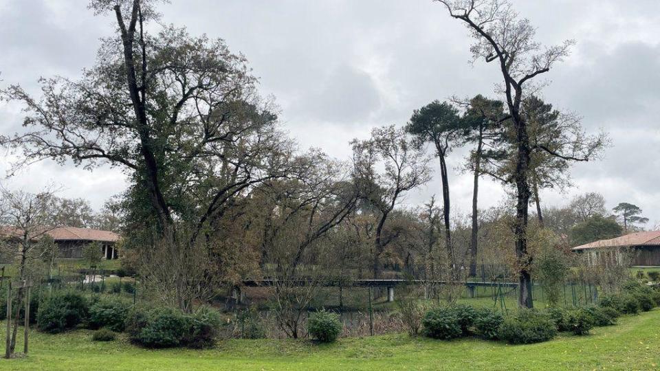 Villa Landais Alzheimer en el suroeste de Francia