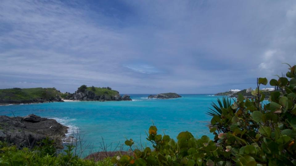 Los científicos han reintroducido los caracoles terrestres mayores y menores de las Bermudas en distintas islas del archipiélago. (Crédito: Sandy Thin/CNN)