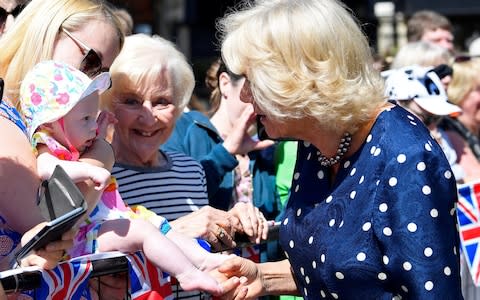 Camilla, the Duchess of Cornwall, holds a baby's foot in Salisbury - Credit: Toby Melville/Reuters