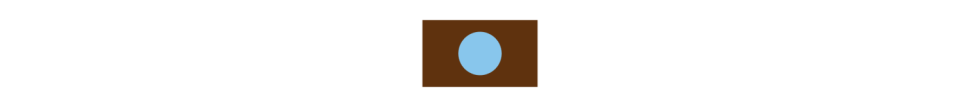 flag icon