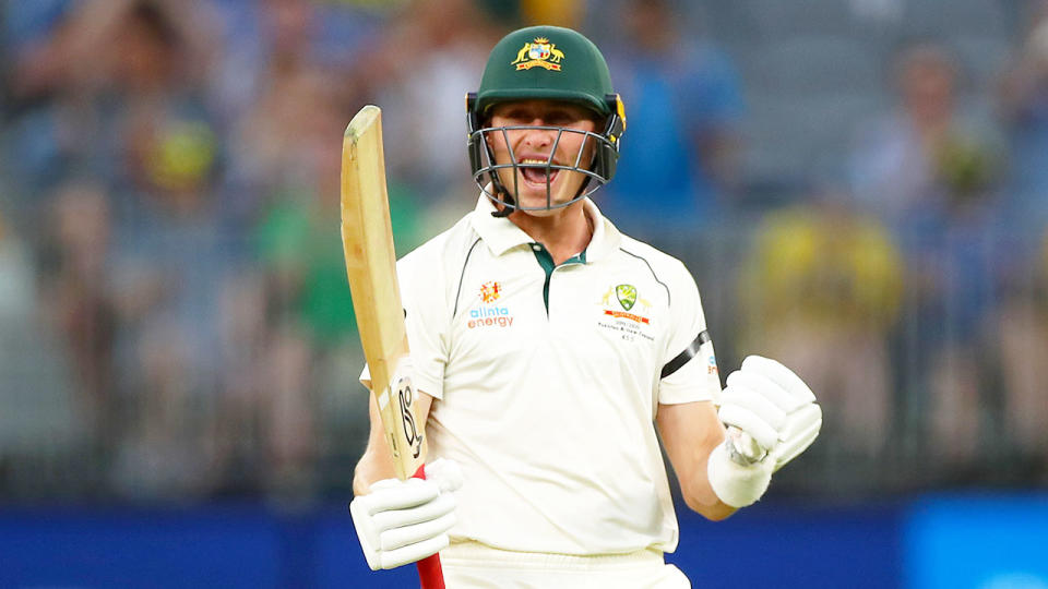 Pictured here, Marnus Labuschagne celebrates against New Zealand after hitting a third straight ton.