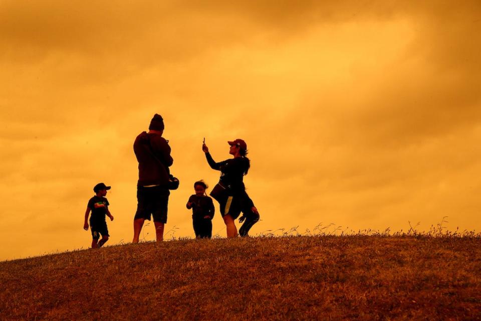 Auckland bushfire sky 5