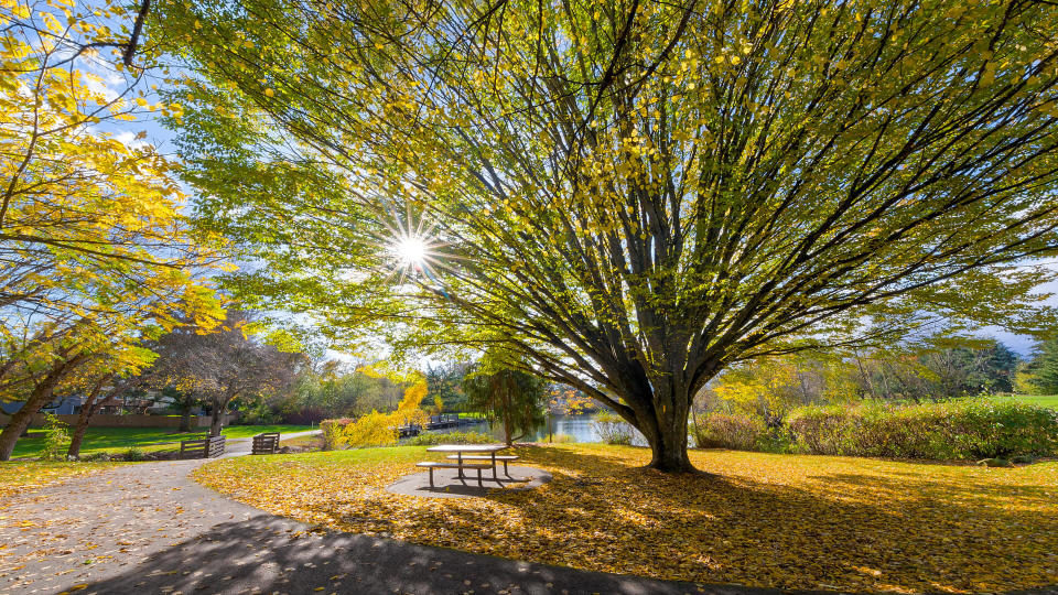 thyegn / Getty Images/iStockphoto