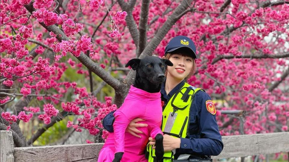 超正女警拍宣傳照引發民眾暴動。（圖／翻攝臉書臺中市政府警察局大甲分局）