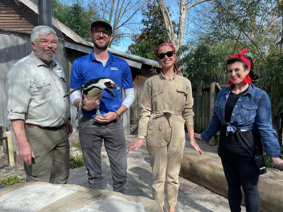 Katy Perry posing like Simon, a black-footed penguin, alongside Louisville Zoo staff.