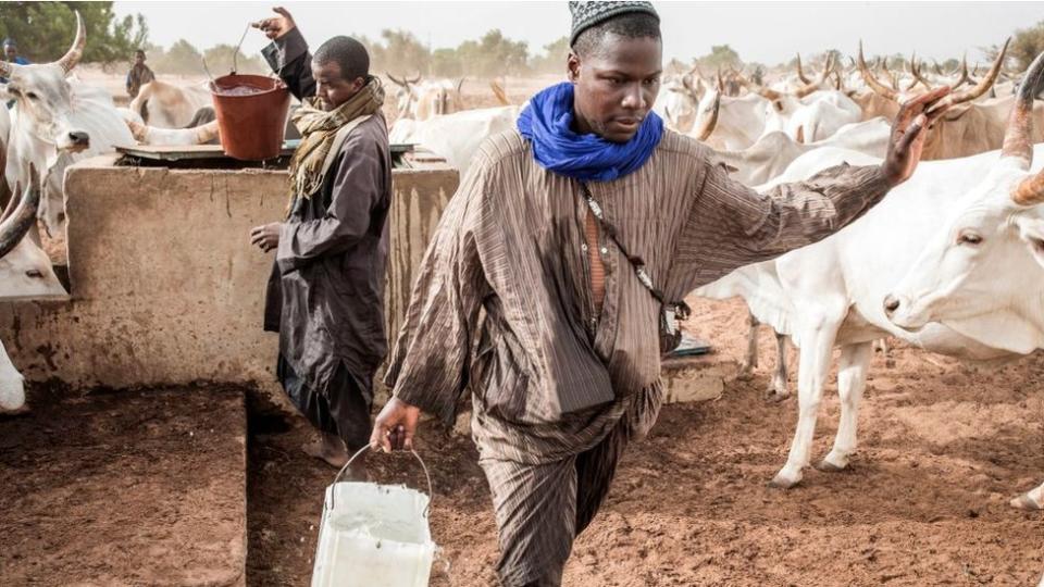 Pastores recogiendo agua en un pozo en Senegal.