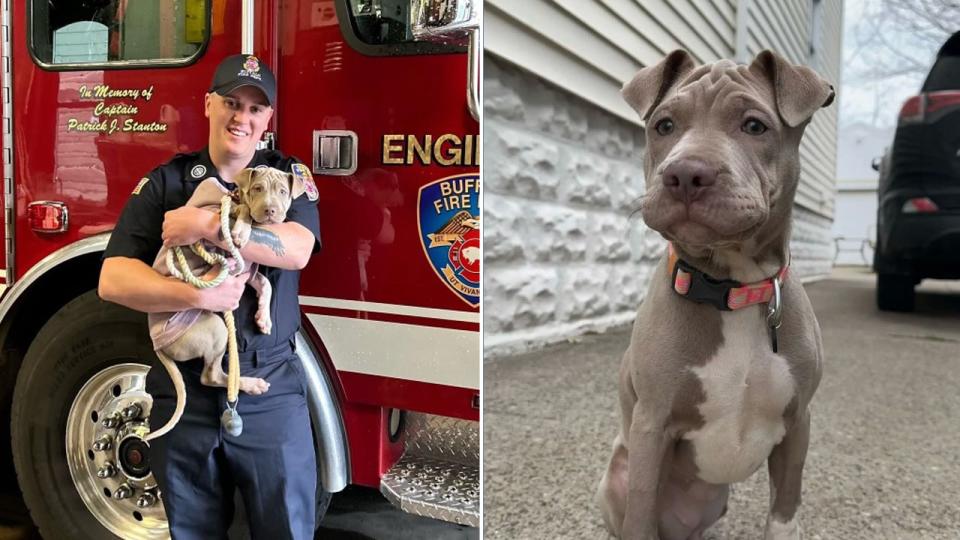 Firemen-adopts-dog-split