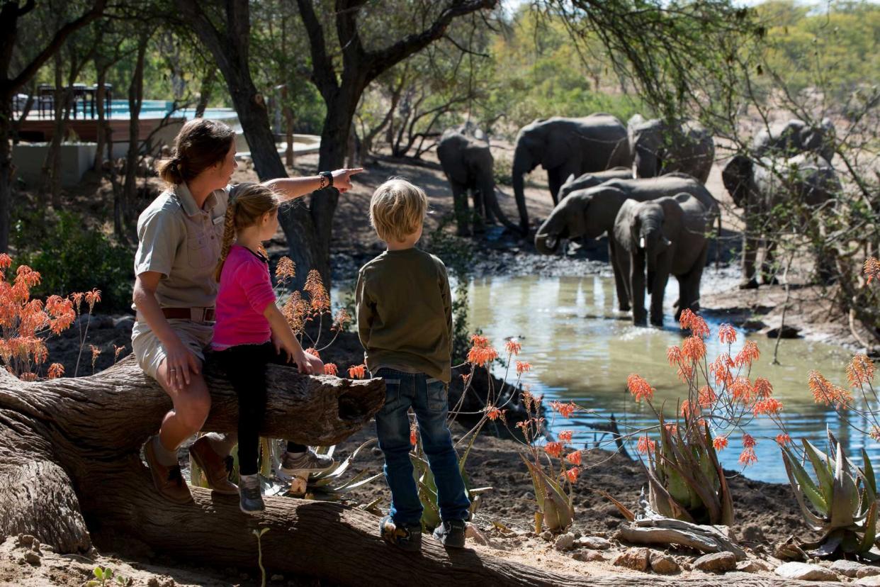 Children look at elephants in a safari camp, with their guide, as part of andBeyond's WILD CHILD program