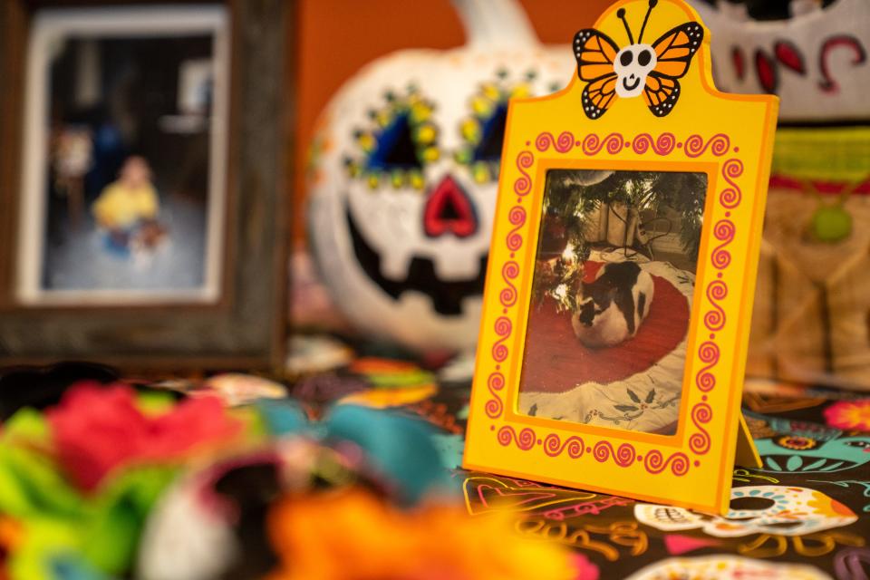 A Dia De Los Muertos altar for pets is displayed at the Arizona Pet Project in Phoenix on Oct. 25, 2023.