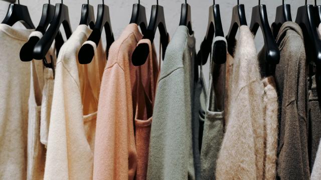 Hangers for Small Closets that You Need to Buy - Styled by Science