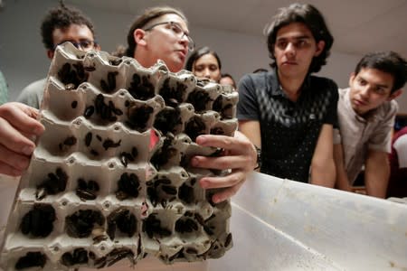 Biologist Federico Paniagua, gives a talk about insects for human consumption to students of the University of Costa Rica, as he is promoting the ingestion of a wide variety of insects, as a low-cost and nutrient-rich food in San Jose