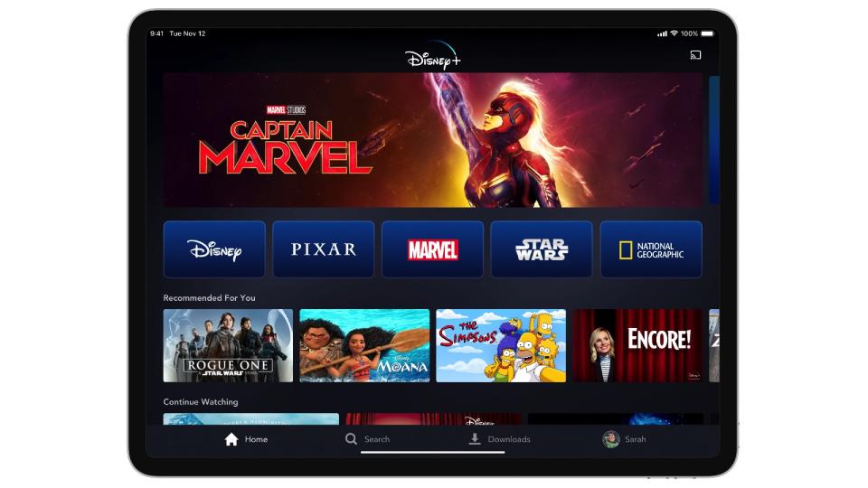 A first look at Disney's upcoming streaming service.