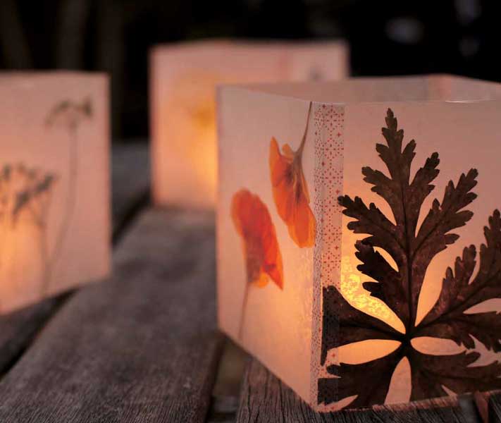 Pressed Flower Luminaria