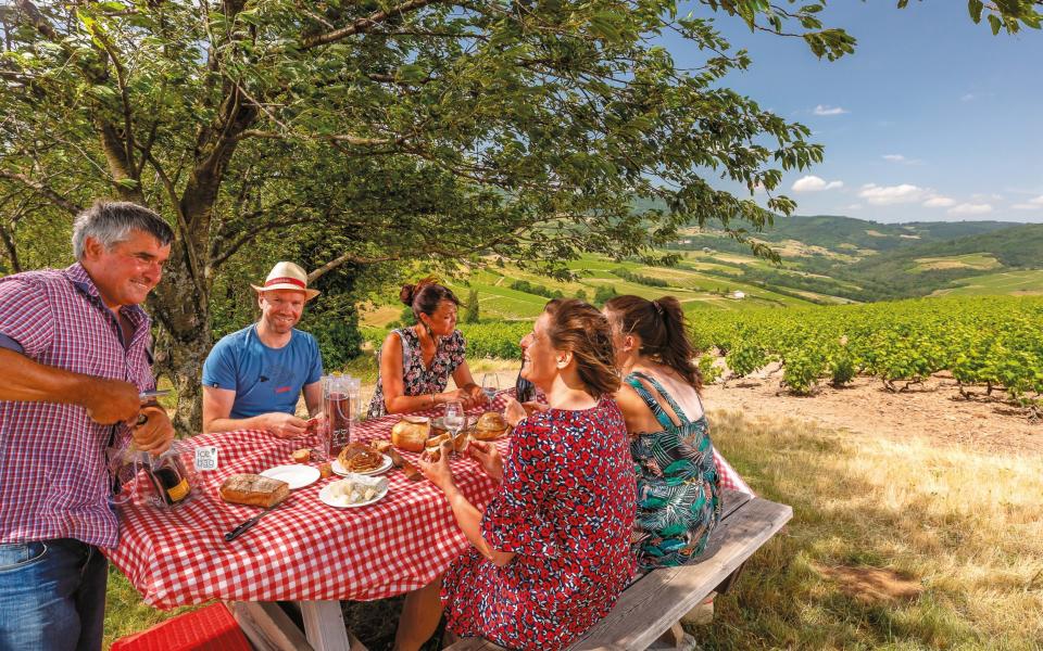 Be sure to take time to enjoy lunch in the vineyards of Domaine Frédéric Berne