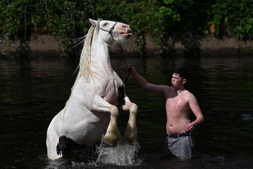 A man washes a horse in the river on the first day of the annual Appleby Horse Fair, in the town of Appleby-in-Westmorland, north west England on June 9, 2022.