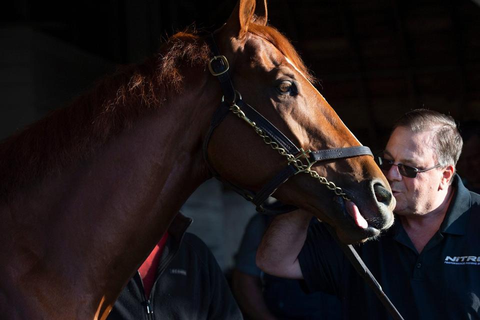 Trainer Eric Reed plants a kiss on the nose of Rich Strike the morning after the 80-1 longshot won the Kentucky Derby. backside at Churchill Downs. May 8, 2022 Aj4t5376 (Photo by Michael Clevenger and Christopher Granger/Courier Journal / USA Today Network/Sipa USA)