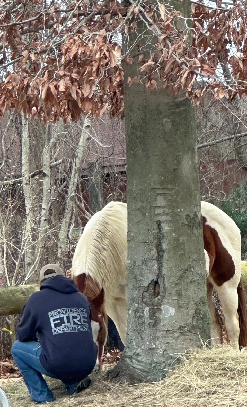 A first responder makes a new friend during Silva Spirit Farm’s Medicine Horse program in Tiverton.