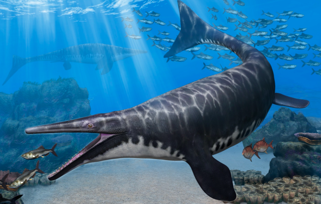 Artist impression of Gavialimimus almaghribensis, a newly discovered species of mosasaur. (University of Alberta/Tatsuya Shinmura)