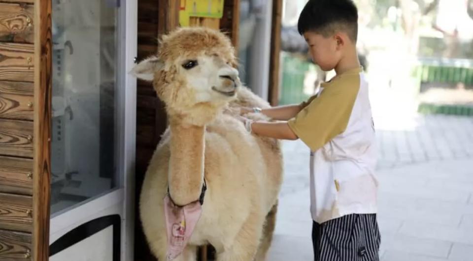 深圳好去處｜親子必去世界之窗動物園！一大一小人均$46起 暢遊5大互動區、近距離親親近50種小動物