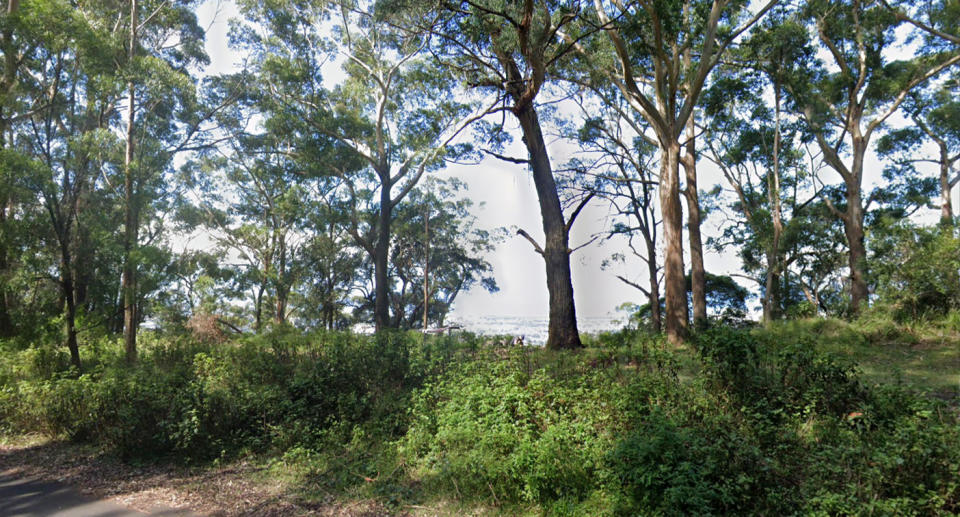 The alleged offence took place off Clive Bissell Drive which has elevated views towards the coast. Source: Google Maps