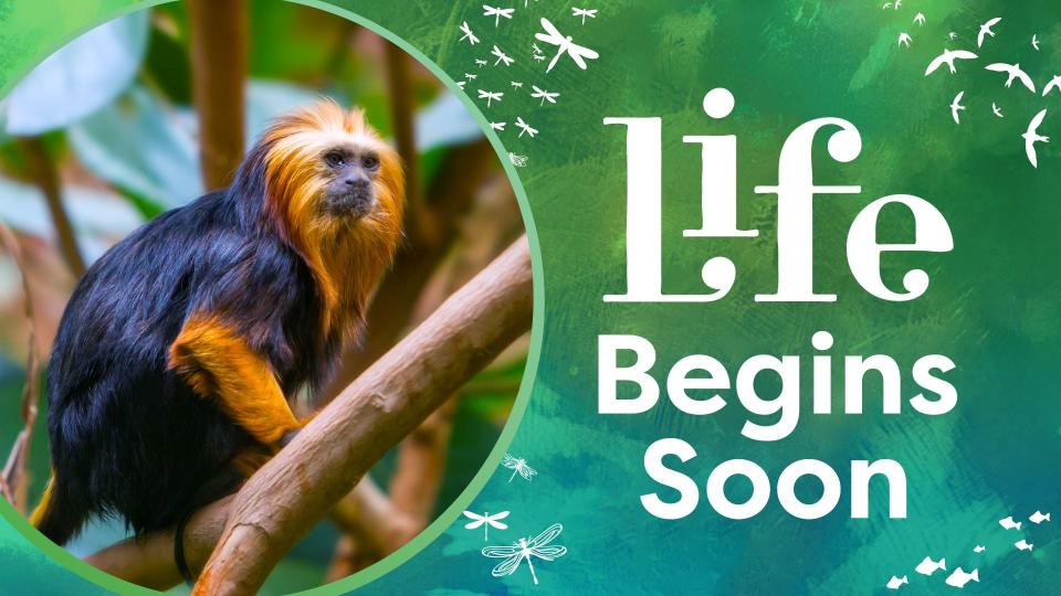 Guests can visit the Life exhibit on Thursday, Apr. 10 for hands-on learning experiences.