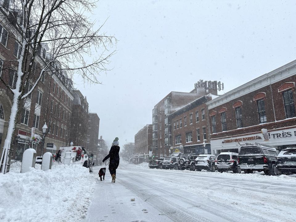 A person walks a dog as snow falls in Portsmouth, N.H., Sunday, Jan. 7, 2024. A major winter storm bringing up to a foot of snow and freezing rain to some communities spread across New England Sunday sending residents scurrying to pull out their shovels and snow blowers to clear sidewalks and driveways. Winter storm warnings and watches were in effect throughout the Northeast, and icy roads made for hazardous travel as far south as North Carolina. (AP Photo/Caleb Jones)