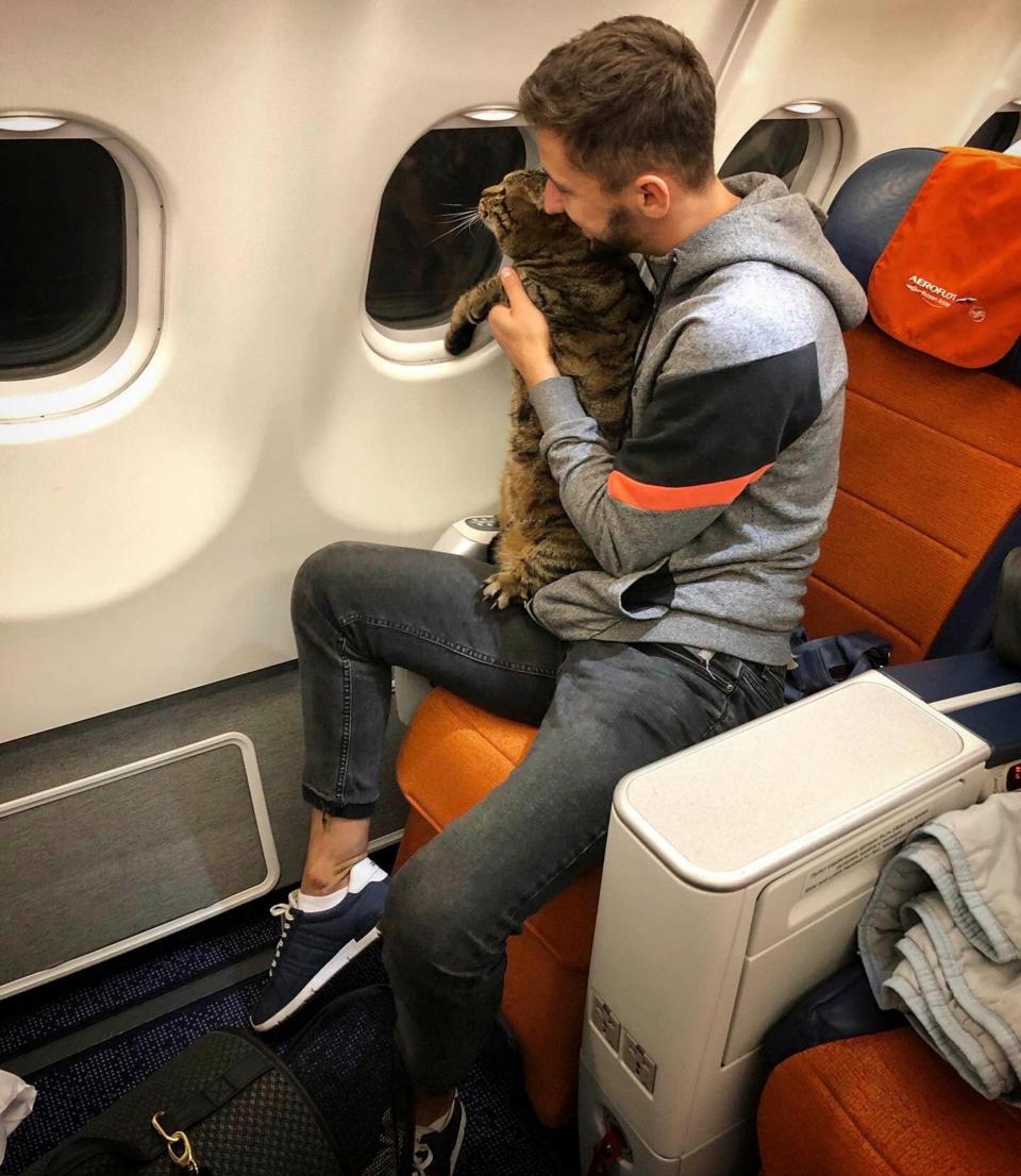 Mikhail Galin and his cat Victor on the flight to Vladivostok (Mikhail Galin)