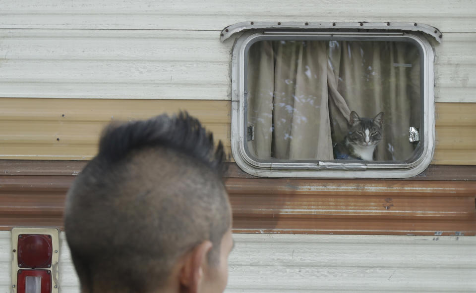 This Thursday, June 27, 2019, photo shows Shanna Couper Orona's cat Maison looking at her through a window of her RV parked along a street in San Francisco. A federally mandated count of homeless in San Francisco increased 17% in two years, driven in part by a surge of people living in RVs and other vehicles. (AP Photo/Jeff Chiu)