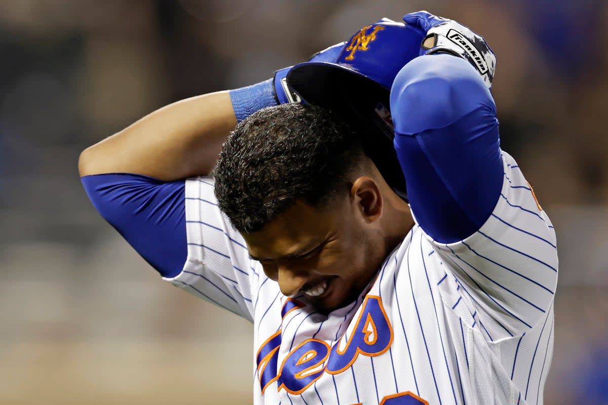 DEP-BEI CACHORROS-METS (AP)