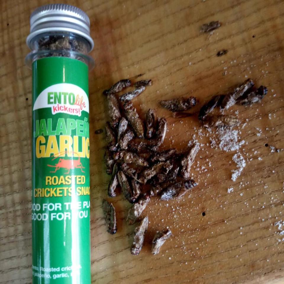 Goodies Gone Wild carries jalapeno-garlic roasted cricket snacks.