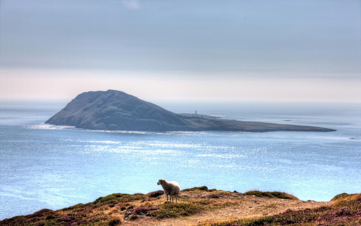 Beautiful Bardsey - tirc83