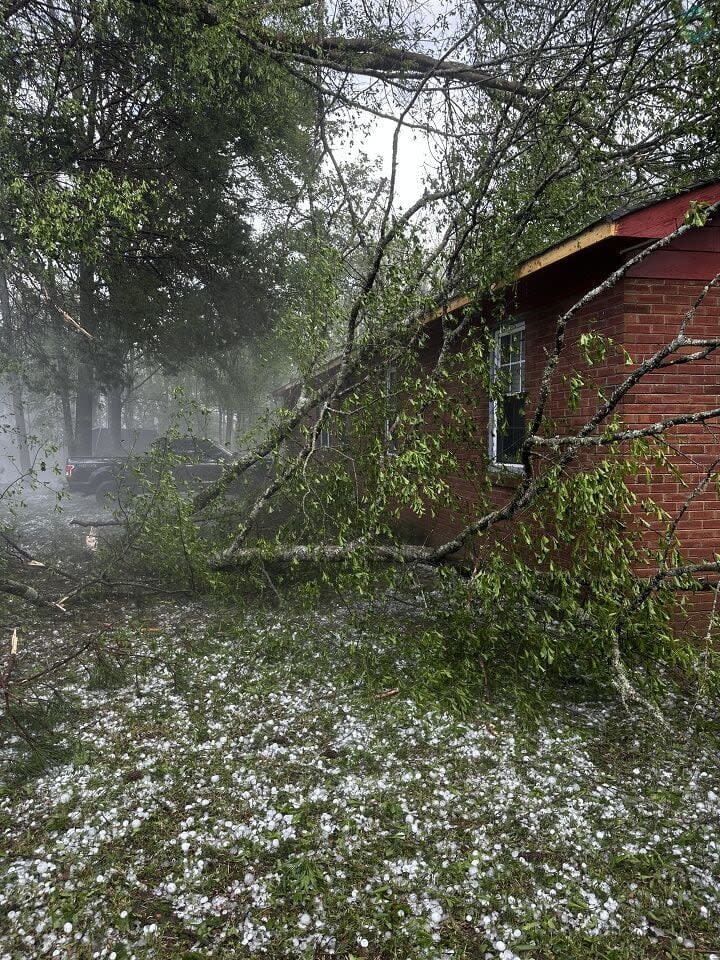 Winds over 60 mph uprooted trees throughout Rock Hill, like this one in Blanche Circle.