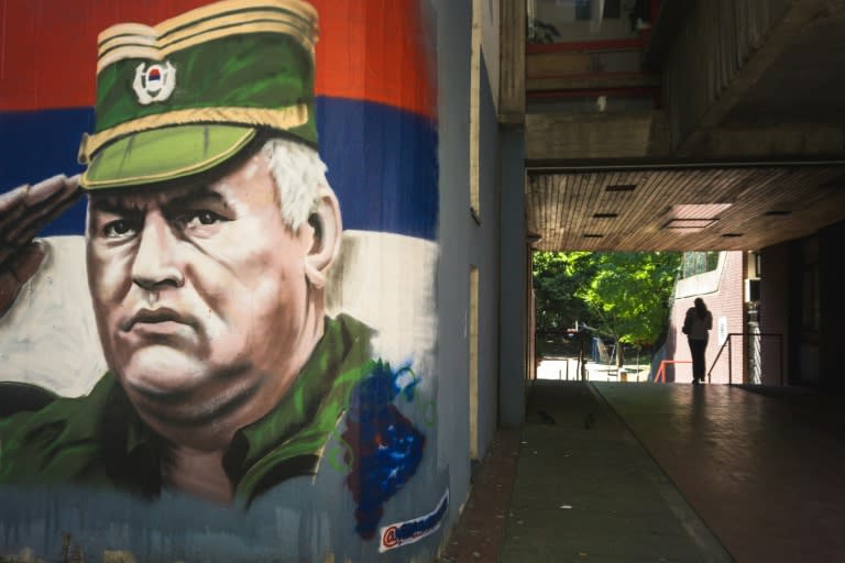 UN judges in The Hague will rule on an appeal by the so-called 'Butcher of Bosnia' Ratko Mladic