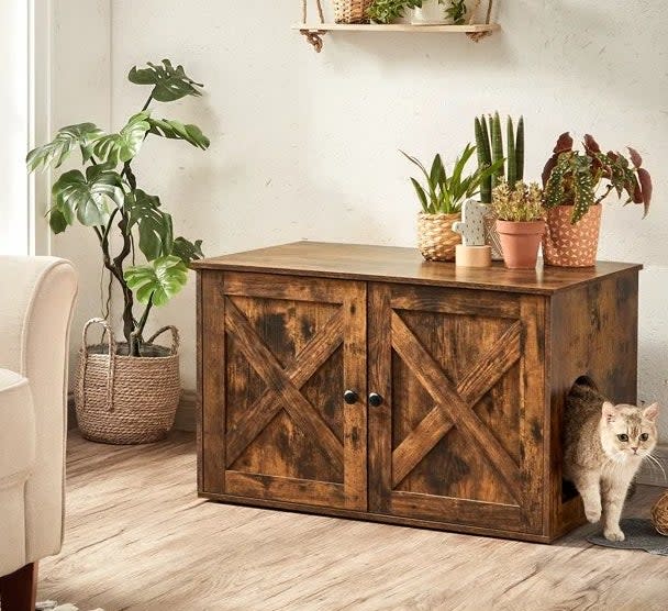 a cat exiting the enclosure in rustic bown being used as an accent table