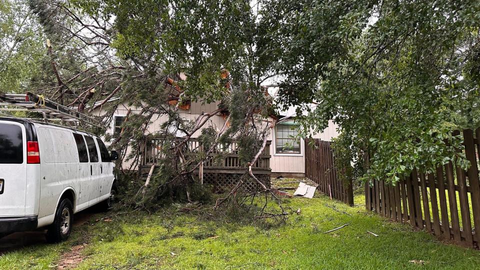 Fallen trees and limbs reported in the Timberlake neighborhood off Apalachee Parkway.