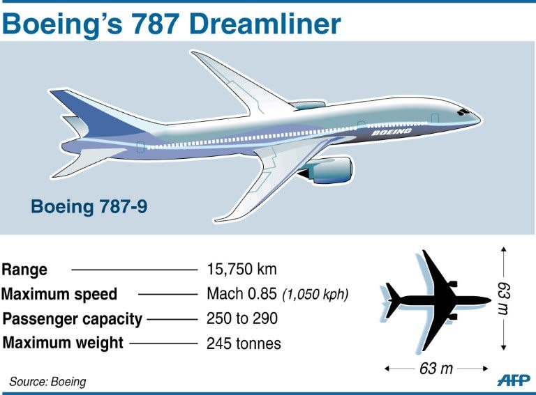 Graphic on the Boeing Dreamliner jet. The grounding of Dreamliners came after a battery fire on a parked JAL 787 at Boston's Logan International Airport and an incident in which fumes from a battery forced the emergency landing of an ANA-operated plane in Japan