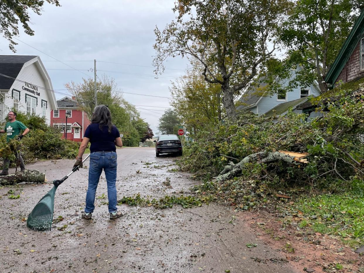 People clean up fallen trees and debris in Victoria-by-Sea in the aftermath of Fiona in September 2022. (Alexandre Silberman/CBC - image credit)