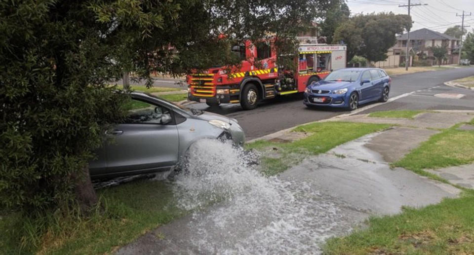 An inexperienced driver received a costly driving lesson when she crashed into a fire hydrant while reportedly riding unsupervised in a St Albans street. Source: Eyewatch – Brimbank Police Service Area / Facebook