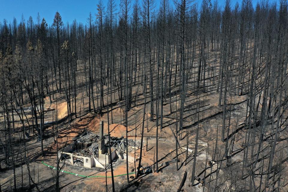 Burned trees on a hillside with no needles and a fire-damaged home. The ground is bare.