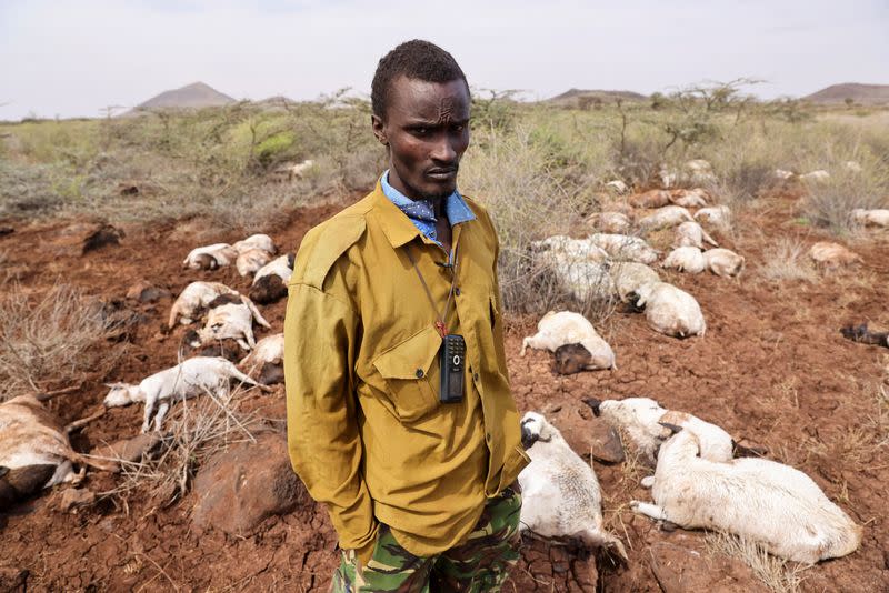 Guyo Gufu stands next to the corpses of his livestock, near Huri Hills, Marsabit county