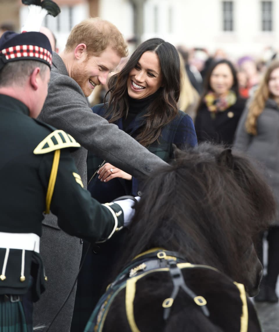 It slightly nipped Prince Harry on the hand with Meghan giggling at what happened. Photo: Getty Images