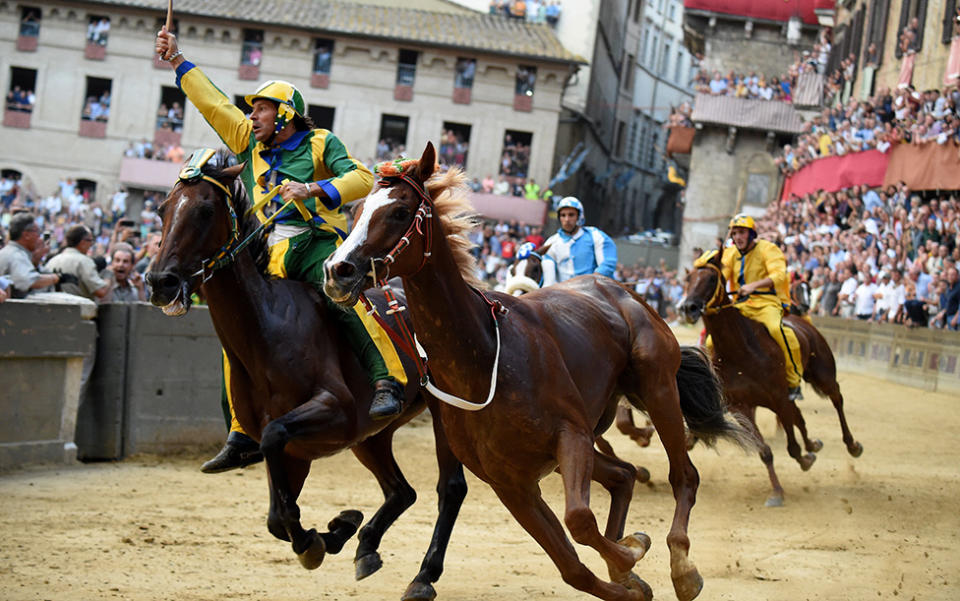 セルバ・コントラダ・チーム(C)の騎手のない馬レモレックス(Remorex)が歴史的なイタリア競馬 