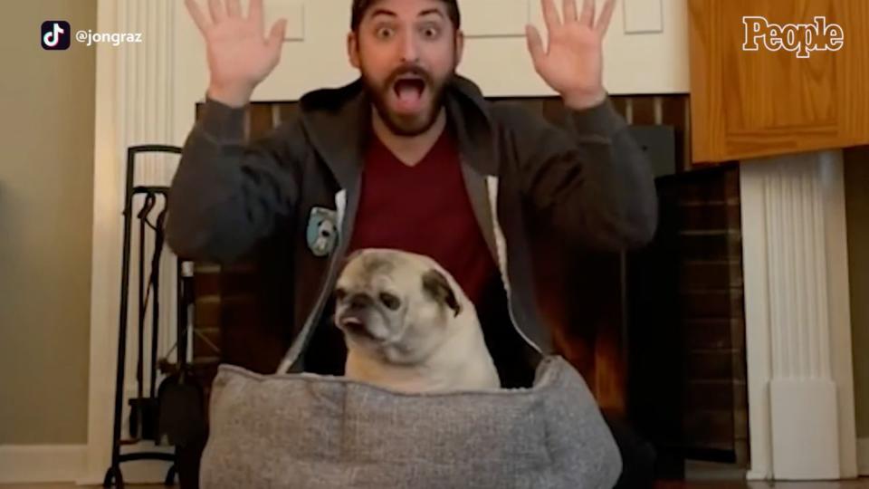 Meet Noodle — The 13-Year-Old Pug That Decides if It Is a 'Bones' or 'No Bones' Day On TikTok