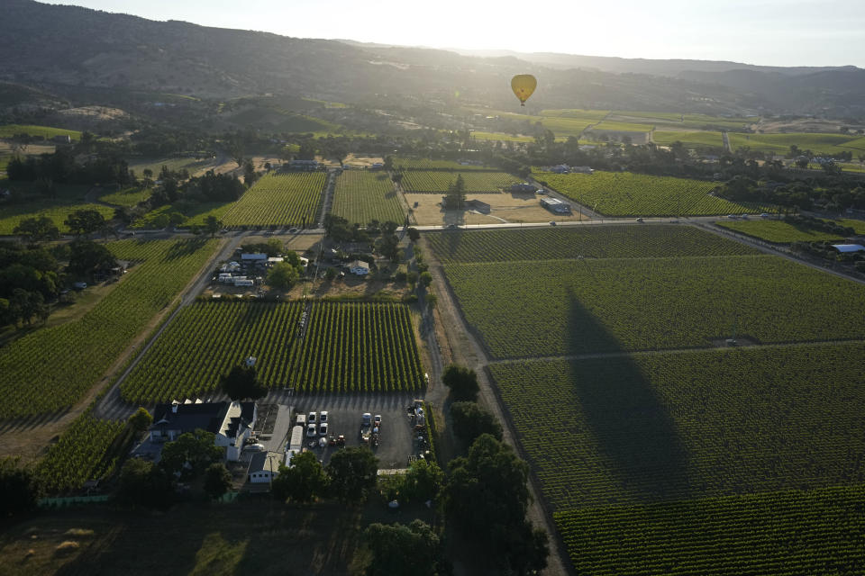 A hot air balloon floats over vineyards, seen from a Napa Valley Aloft balloon, in Napa, Calif., Monday, June 19, 2023. This year, wine grapes are thriving after a winter of record amounts of rain fell in California, but a recent trip high above the valley in a hot air balloon revealed miles of lush, green vineyards — the only blemish coming from shadows cast by the balloons themselves. (AP Photo/Eric Risberg)