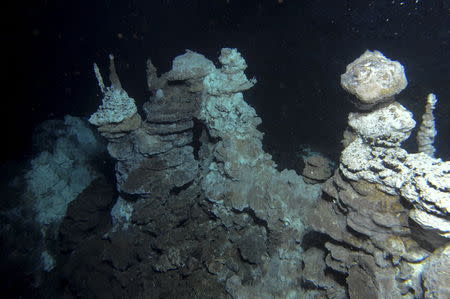 A hydrothermal vent field along the Arctic Mid-Ocean Ridge, close to where 'Loki' was found in marine sediments, is seen in this undated handout image courtesy of the the Centre for Geobiology at University of Bergen, Norway. REUTERS/Centre for Geobiology/University of Bergen, Norway/R.B. Pedersen/Handout