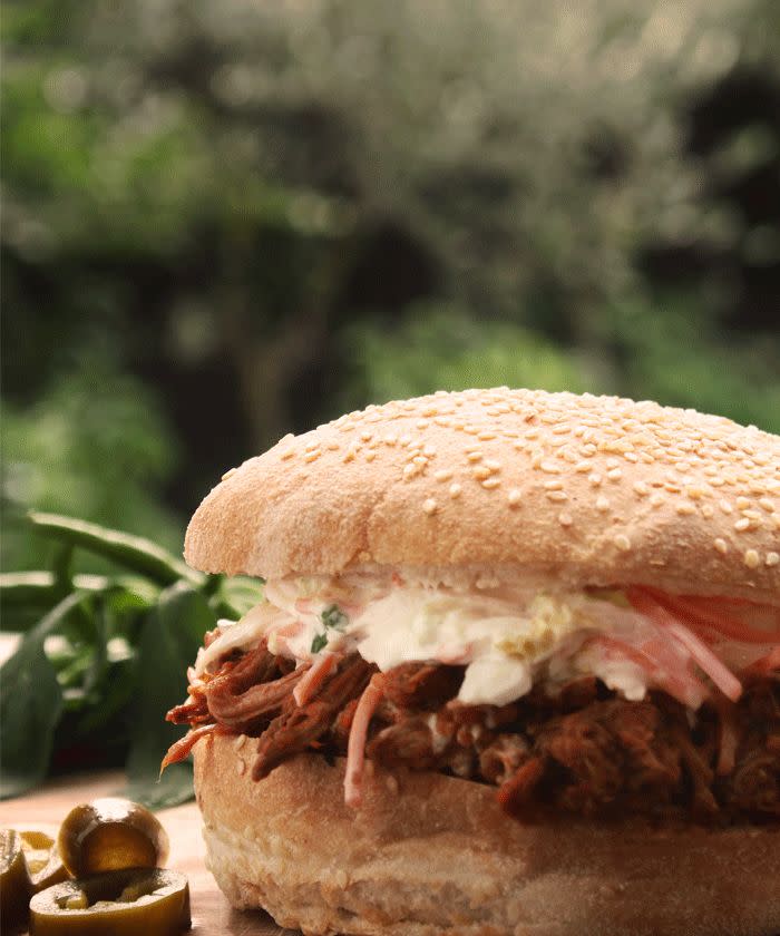 Pulled pork in barbecue sauce