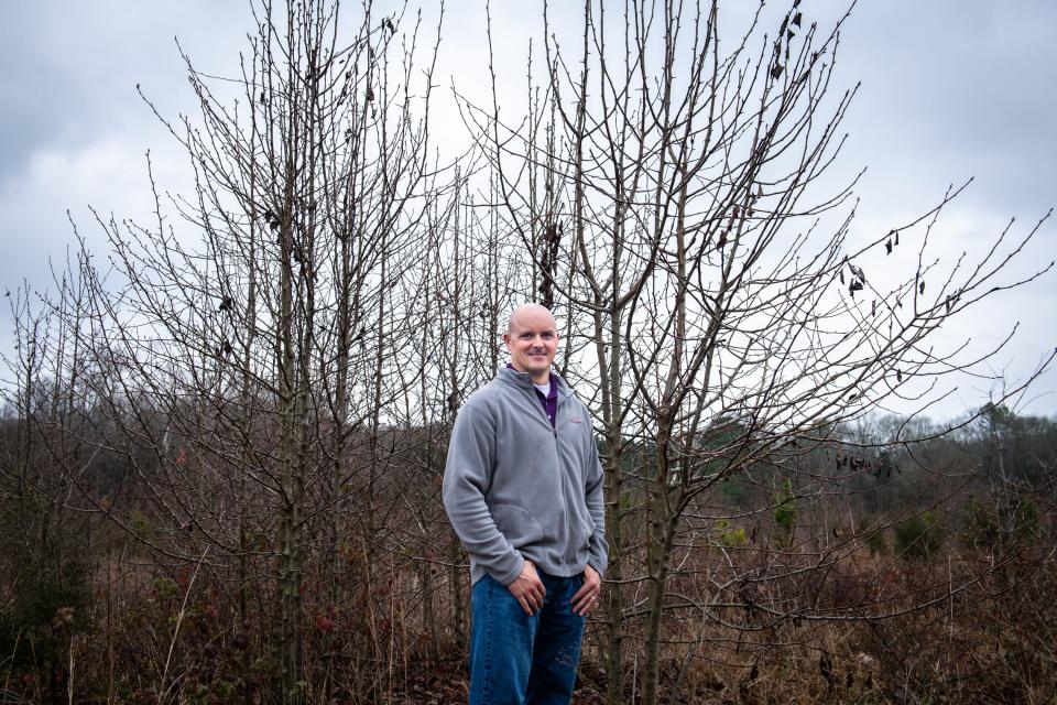 David Coyle, Assistant Professor of Forest Health and Invasive Species at Clemson University at a patch of Bradford pear trees in a field behind a cemetery in Pendleton, Wednesday, February 5, 2020.