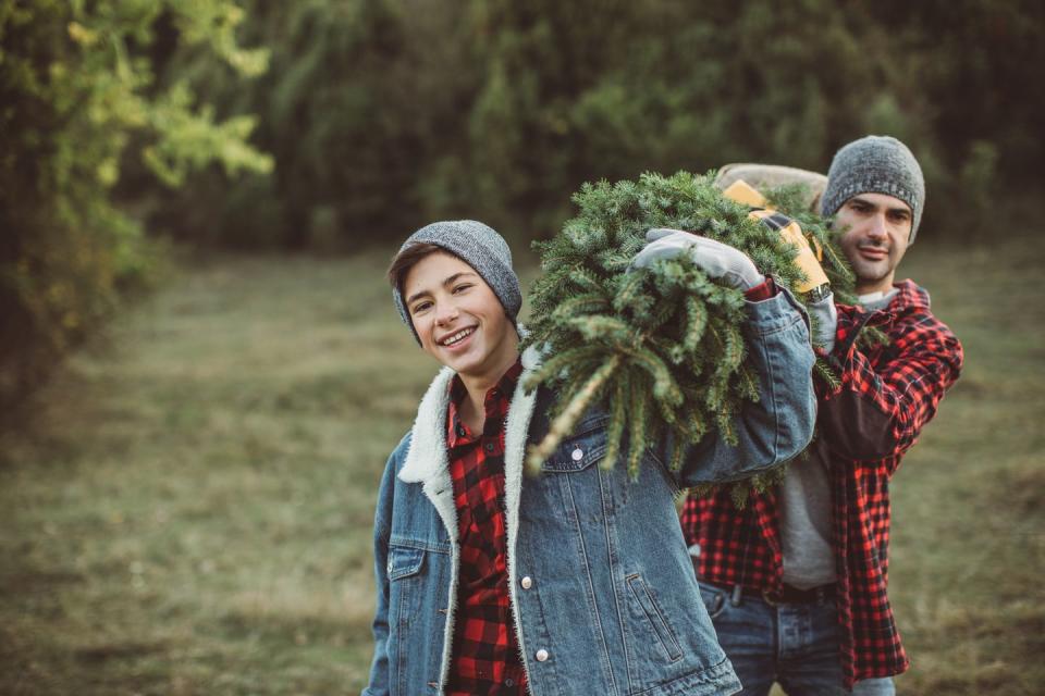 31) Cut down your own Christmas tree