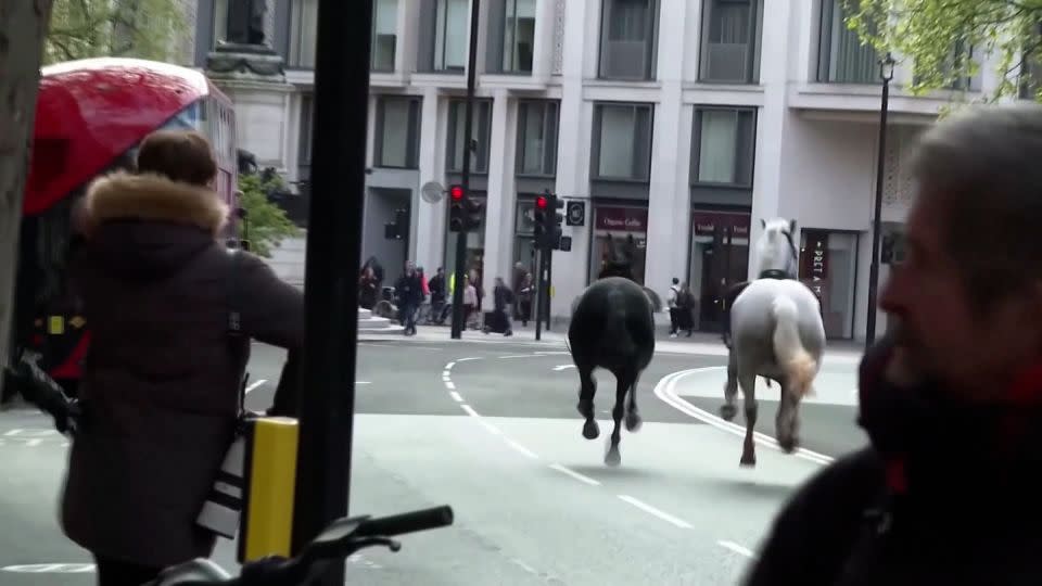 Video showed the horses running down a street in London. - Reuters